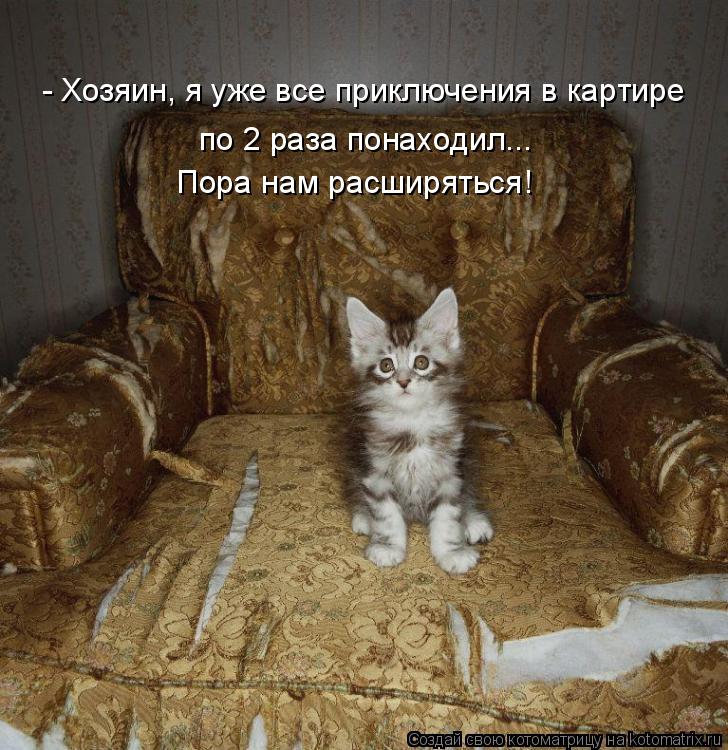 Котоматрица: - Хозяин, я уже все приключения в картире Пора нам расширяться! по 2 раза понаходил...