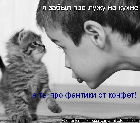 Котоматрица: я забыл про лужу на кухне а ты про фантики от конфет!