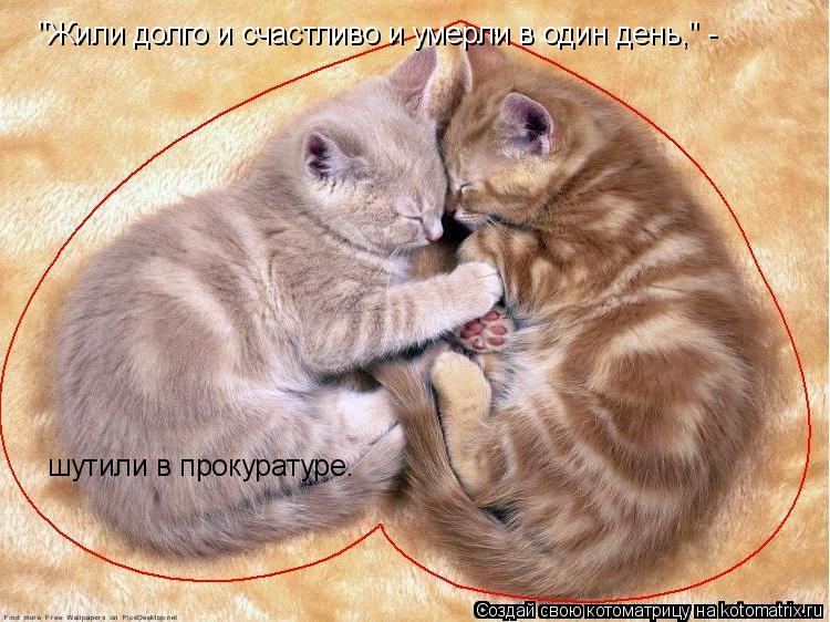 Котоматрица: "Жили долго и счастливо и умерли в один день," - шутили в прокуратуре.