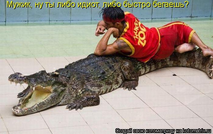 Котоматрица: Мужик, ну ты либо идиот, либо быстро бегаешь?