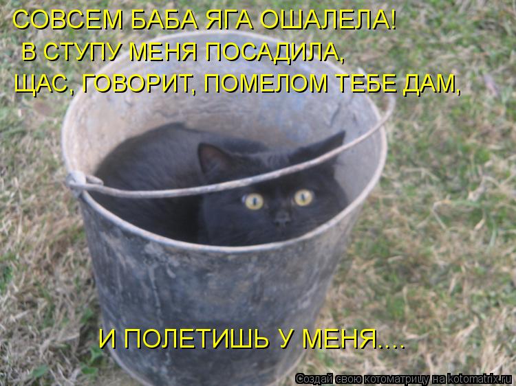 Котоматрица: СОВСЕМ БАБА ЯГА ОШАЛЕЛА! В СТУПУ МЕНЯ ПОСАДИЛА, И ПОЛЕТИШЬ У МЕНЯ.... ЩАС, ГОВОРИТ, ПОМЕЛОМ ТЕБЕ ДАМ,