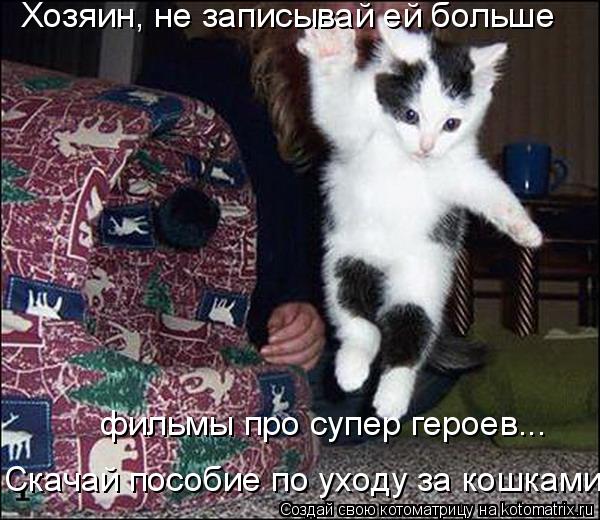 Хозяин, не записывай ей больше фильмы про супер героев... Скачай пособие по уходу за кошками!... Котоматрица: Хозяин, не записывай ей больше фильмы про супер героев... Скачай пособие по уходу за кошками!