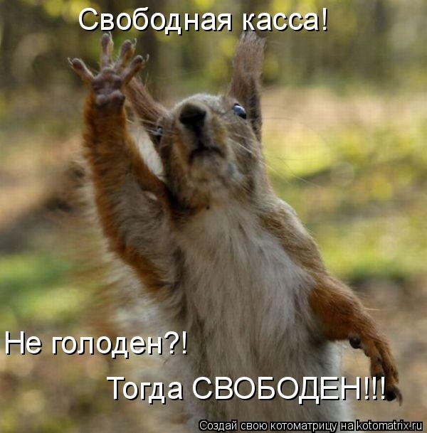Свободная касса! Не голоден?! Тогда СВОБОДЕН!!!... Котоматрица: Свободная касса! Не голоден?! Тогда СВОБОДЕН!!!