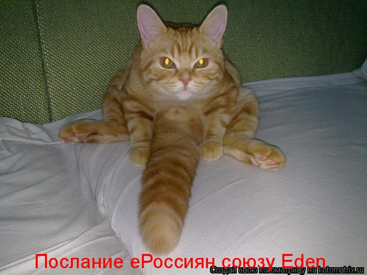 Послание еРоссиян союзу Eden... Котоматрица: Послание еРоссиян союзу Eden