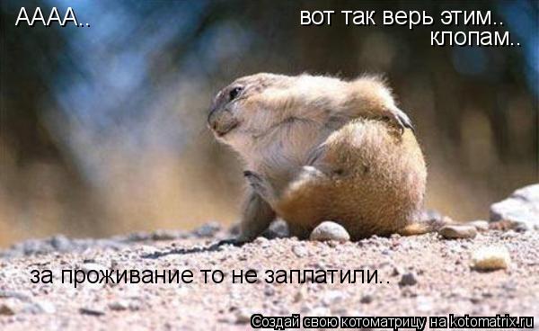 АААА.. вот так верь этим.. клопам.. за проживание то не заплатили..... Котоматрица: АААА.. вот так верь этим.. клопам.. за проживание то не заплатили..