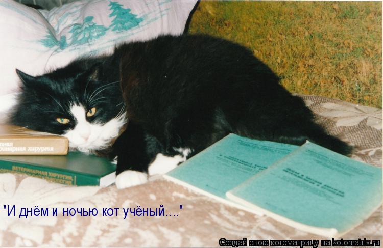 "И днём и ночью кот учёный...."... Котоматрица: "И днём и ночью кот учёный...."