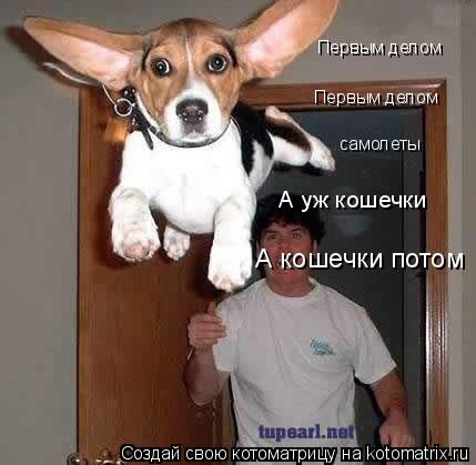 Котоматрица: Первым делом  Первым делом   самолеты  А уж кошечки А кошечки потом