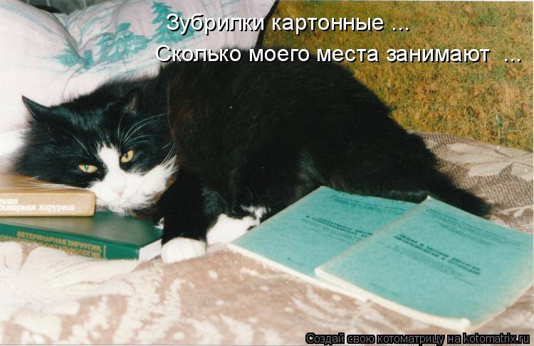 Котоматрица: Зубрилки картонные ... Сколько моего места занимают  ...