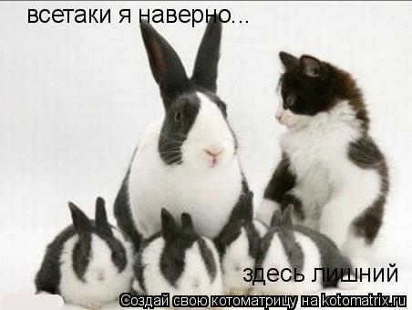 Котоматрица: всетаки я наверно... здесь лишний