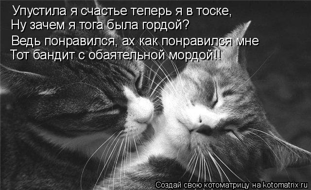 Котоматрица: Упустила я счастье теперь я в тоске,    Ведь понравился, ах как понравился мне Тот бандит с обаятельной мордой!! Ну зачем я тога была гордой?