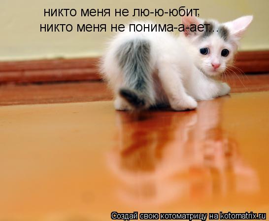 Котоматрица: никто меня не лю-ю-юбит , никто меня не понима-а-ает...