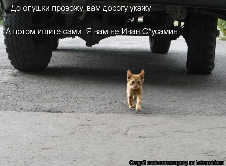Котоматрица: До опушки провожу, вам дорогу укажу. А потом ищите сами. Я вам не Иван С*усамин.