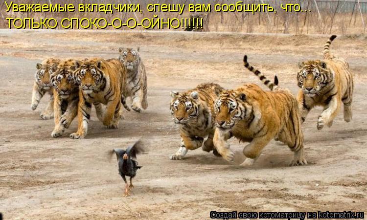 Котоматрица: Уважаемые вкладчики, спешу вам сообщить, что... ТОЛЬКО СПОКО-О-О-ОЙНО!!!!!!