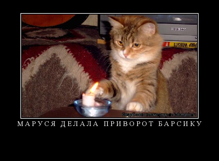 Маруся делала приворот Барсику ... Котоматрица: Маруся делала приворот Барсику