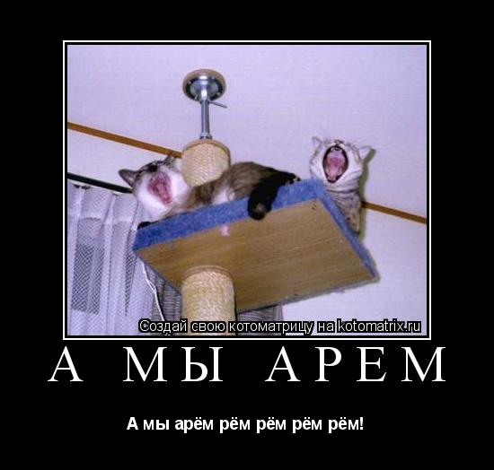 А мы арём А мы арём рём рём рём рём!... Котоматрица: А мы арём А мы арём рём рём рём рём!