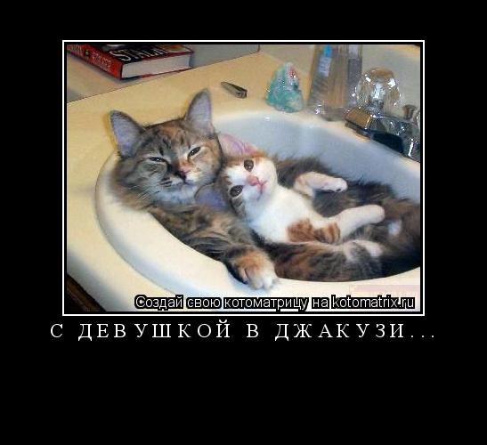С девушкой в Джакузи... ... Котоматрица: С девушкой в Джакузи...