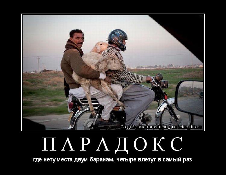 ПАРАДОКС где нету места двум баранам, четыре влезут в самый раз... Котоматрица: ПАРАДОКС где нету места двум баранам, четыре влезут в самый раз