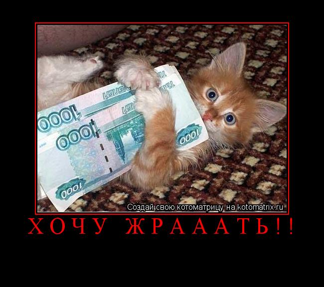Котоматрица: хочу жрааать!! 