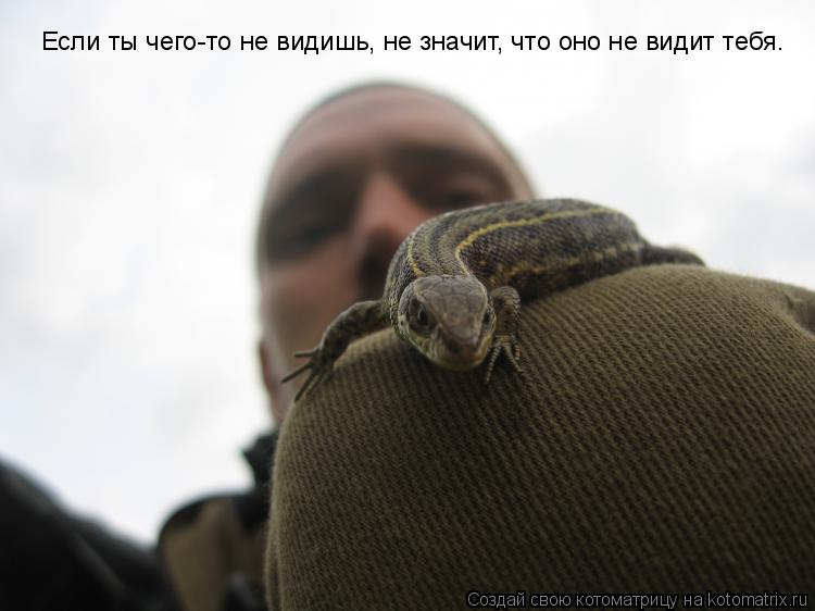 Котоматрица: Если ты чего-то не видишь, не значит, что оно не видит тебя.