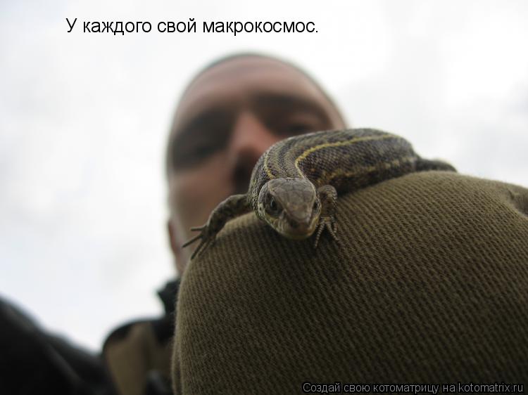 Котоматрица: У каждого свой макрокосмос.