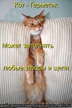 Котоматрица: Кот - Герметик   Может заполнять любые зазоры и щели.