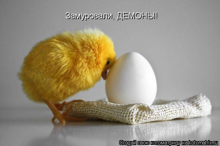 Котоматрица: Замуровали, ДЕМОНЫ!