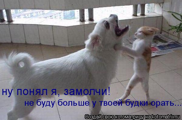 Котоматрица: ну понял я, замолчи! не буду больше у твоей будки орать...