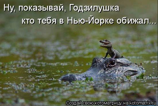 Котоматрица: Ну, показывай, Годзилушка кто тебя в Нью-Йорке обижал...