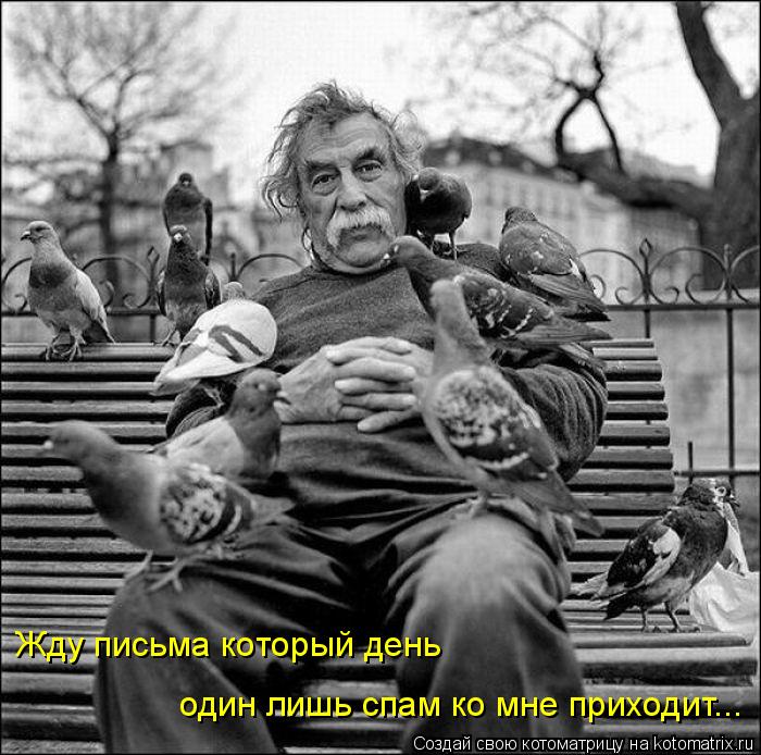 Котоматрица: Жду письма который день один лишь спам ко мне приходит...