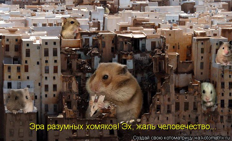 Котоматрица: Эра разумных хомяков! Эх, жаль человечество...
