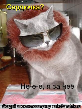 Котоматрица: Сердючка? Не-е-е, я за неё