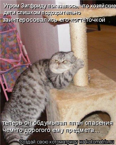 Котоматрица: Утром Зигфриду показалось, что хозяйские  дети слишком подозрительно  заинтеросовались его когтеточкой теперь он обдумывал план спасения 