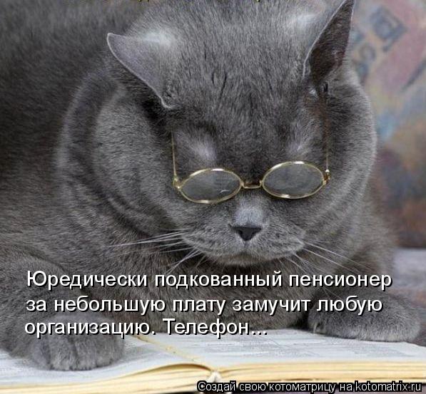 Котоматрица: Юредически подкованный пенсионер за небольшую плату замучит любую организацию. Телефон...