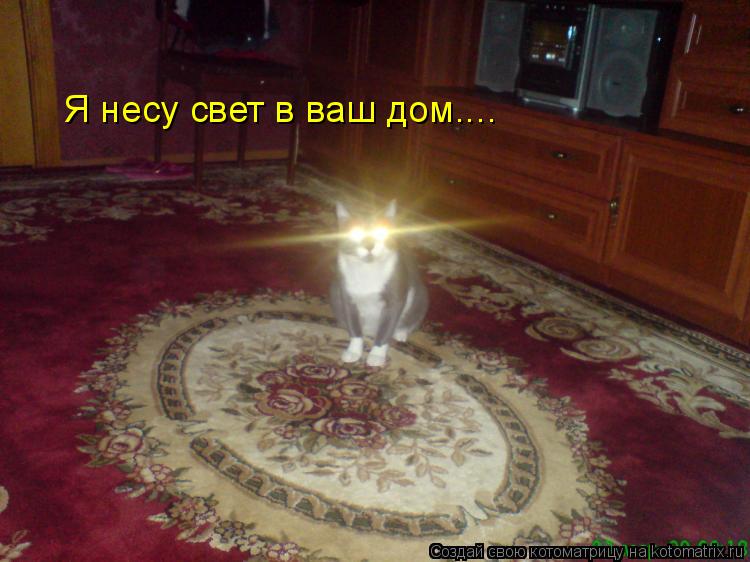 Котоматрица: Я несу свет в ваш дом....