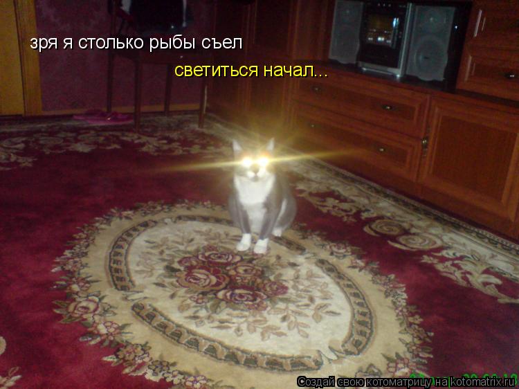 Котоматрица: зря я столько рыбы съел светиться начал...
