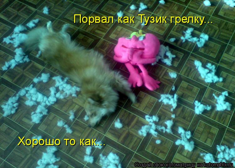 Порвал как Тузик грелку... Хорошо то как...... Котоматрица: Порвал как Тузик грелку... Хорошо то как...