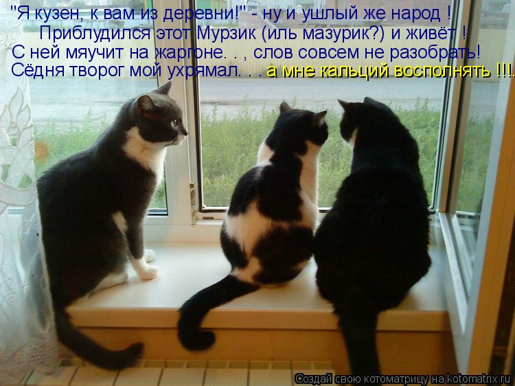 Котоматрица: Приблудился этот Мурзик (иль мазурик?) и живёт ! С ней мяучит на жаргоне. . , слов совсем не разобрать! "Я кузен, к вам из деревни!" - ну и ушлый же 
