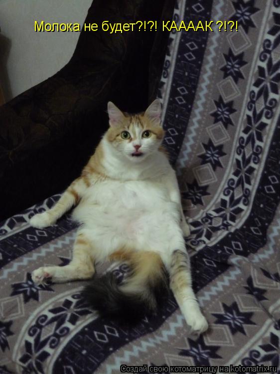 Котоматрица: Молока не будет?!?! КААААК ?!?!
