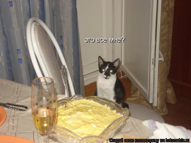 Котоматрица: это все мне?