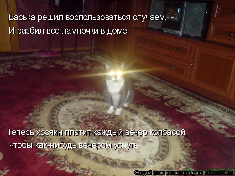 Котоматрица: Васька решил воспользоваться случаем,   И разбил все лампочки в доме. Теперь хозяин платит каждый вечер колбасой, чтобы как-нибудь вечером у