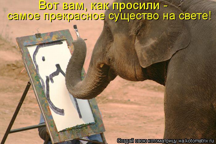 Вот вам, как просили - самое прекрасное существо на свете!... Котоматрица: Вот вам, как просили - самое прекрасное существо на свете!