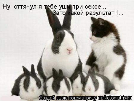Зато какой разультат !... Ну оттянул я тебе уши при сексе...... Котоматрица: Зато какой разультат !... Ну оттянул я тебе уши при сексе...