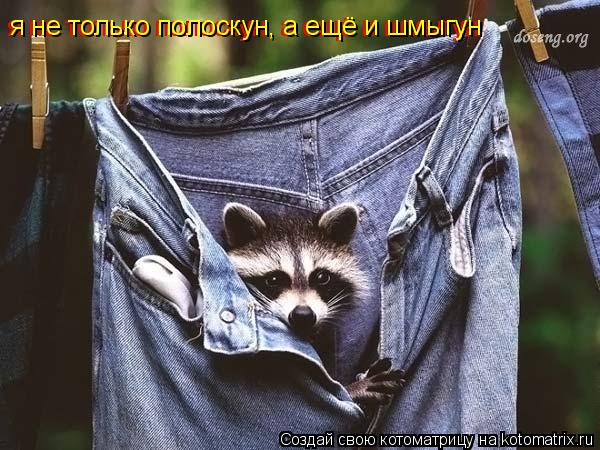 Котоматрица: я не только полоскун, а ещё и шмыгун я не только полоскун, а ещё и шмыгун