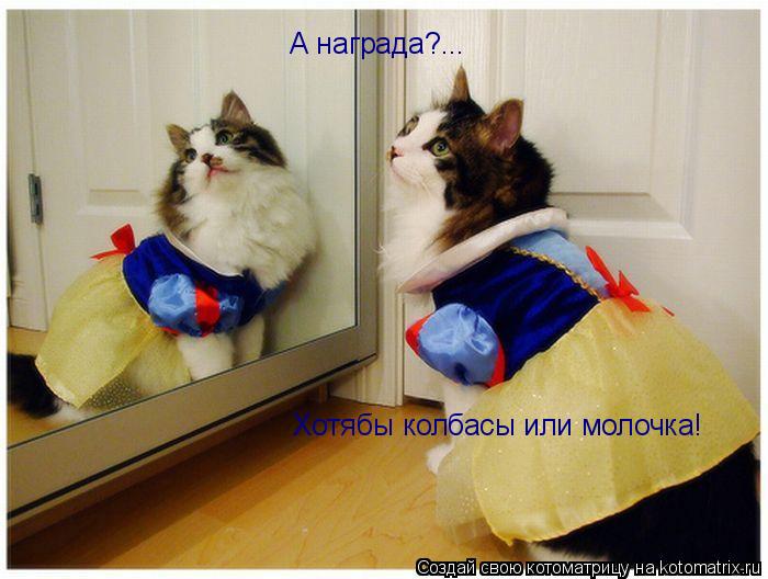 Котоматрица: А награда?... Хотябы колбасы или молочка!
