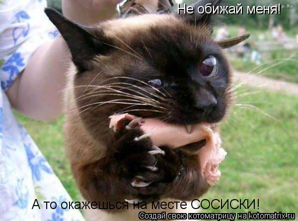 Котоматрица: Не обижай меня! А то окажешься на месте СОСИСКИ!