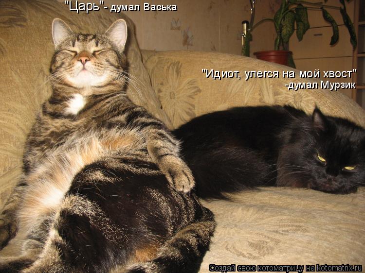 Котоматрица: "Царь" - думал Васька "Идиот, улегся на мой хвост" -думал Мурзик