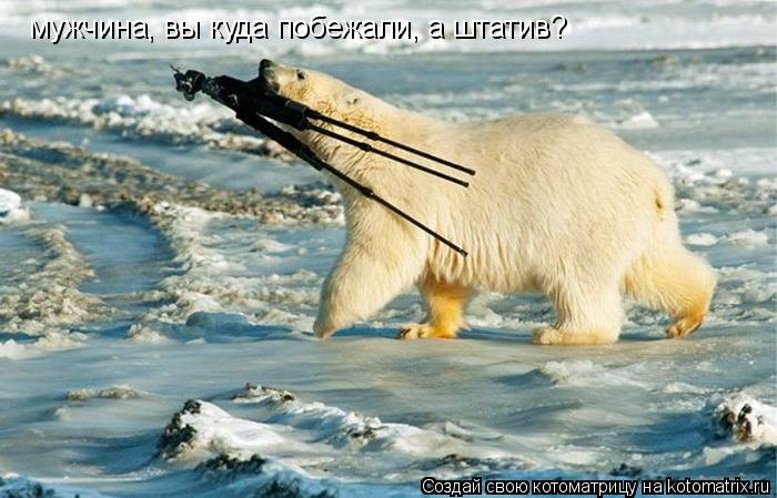 мужчина, вы куда побежали, а штатив?... Котоматрица: мужчина, вы куда побежали, а штатив?