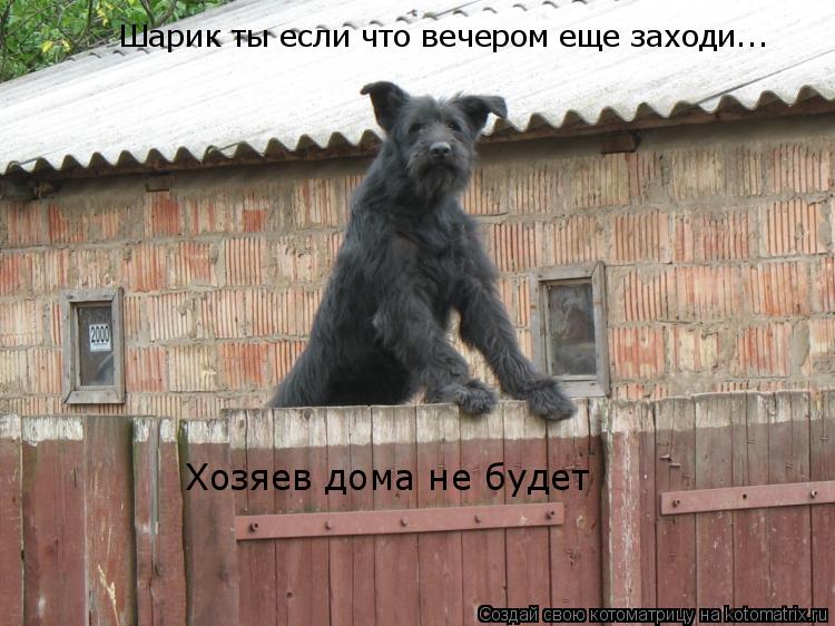 Котоматрица: Шарик ты если что вечером еще заходи... Хозяев дома не будет