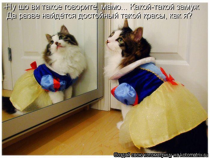 Котоматрица: -Ну шо ви такое говорите. мамо... Какой-такой замуж Да разве найдётся достойный такой красы, как я?