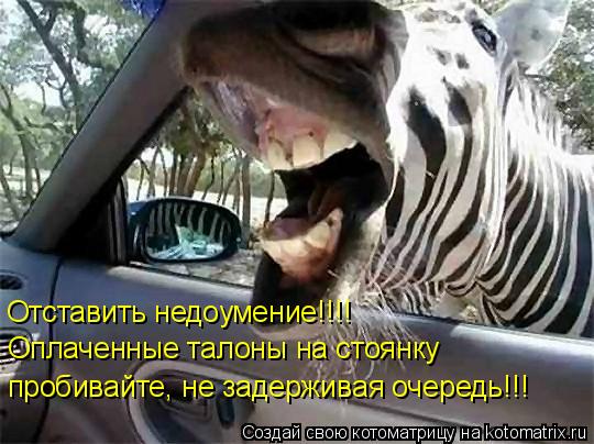 Котоматрица: Отставить недоумение!!!! Оплаченные талоны на стоянку пробивайте, не задерживая очередь!!!